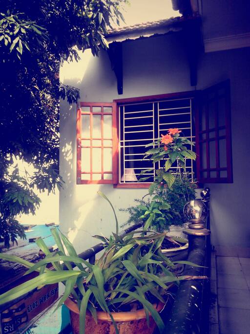 Sunny day