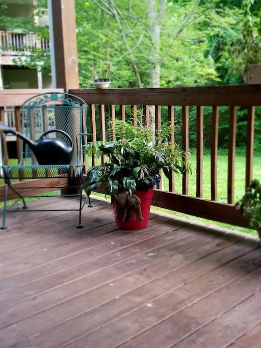 Covered Back Porch