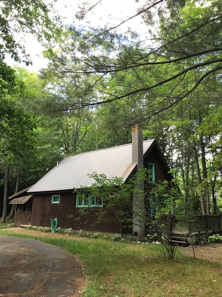 Cozy Mid Century Retreat Cabins for Rent in Carp Lake, Michigan