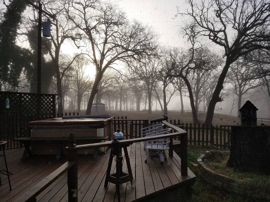 Foggy January Morning!