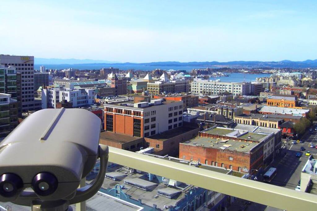 View from Roof Top deck
