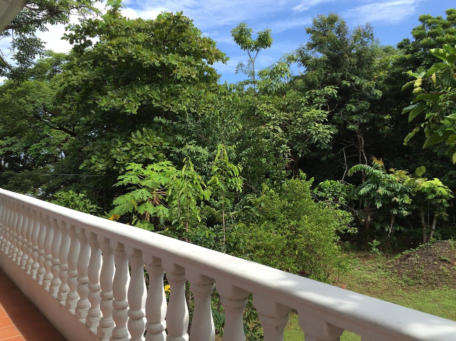 Views from your room.
