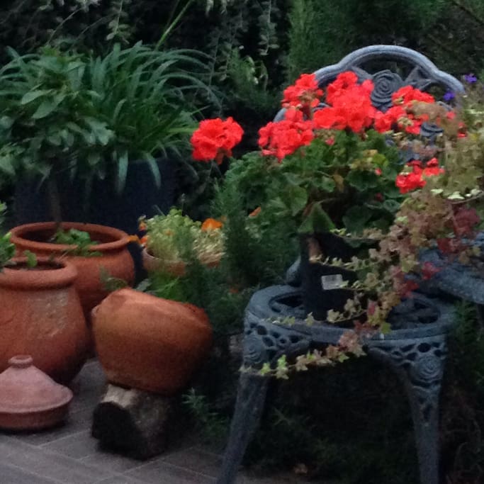 A lovely splash of color