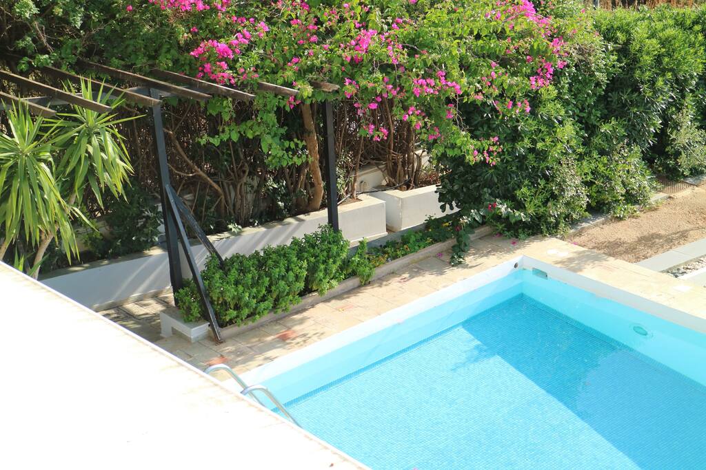 Shared swimming pool