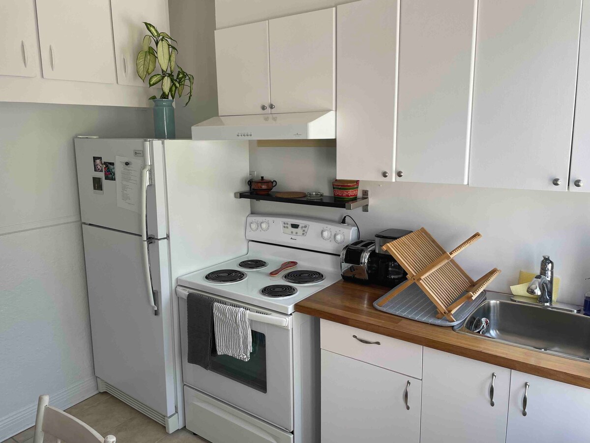 The compact kitchen features white cabinets and a wooden countertop. An electric stove with four burners is complemented by a refrigerator and a sink with drying rack. A potted plant sits on a shelf, adding a touch of greenery to the space.