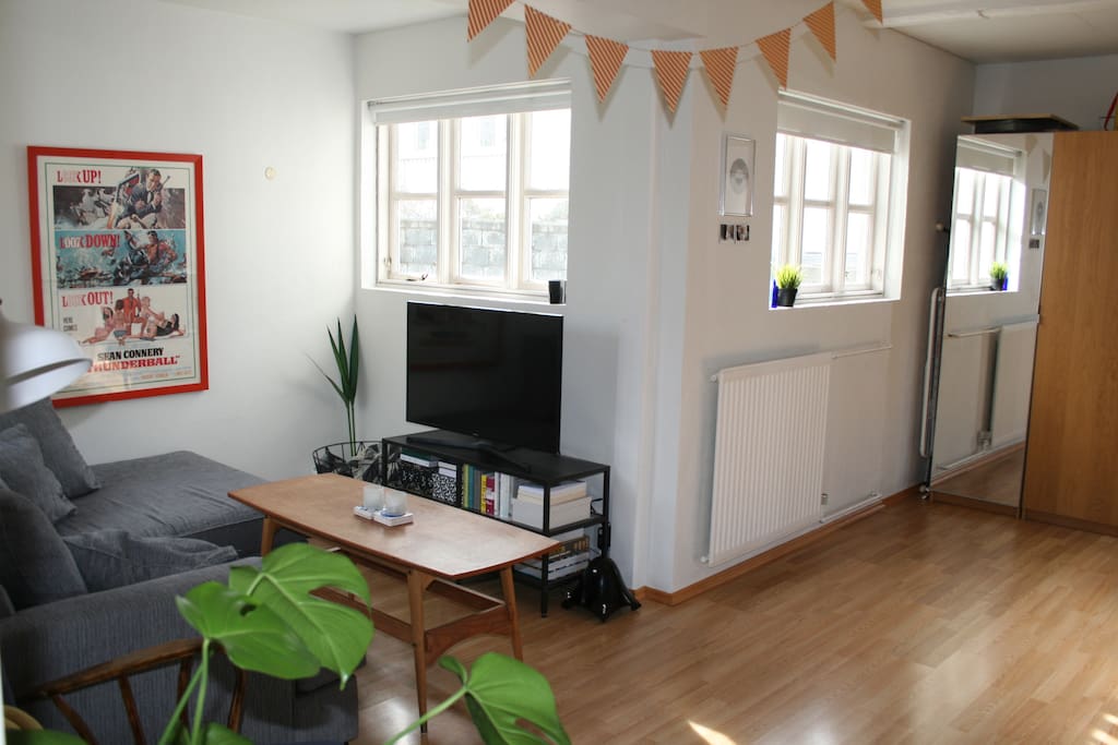 Living room with TV