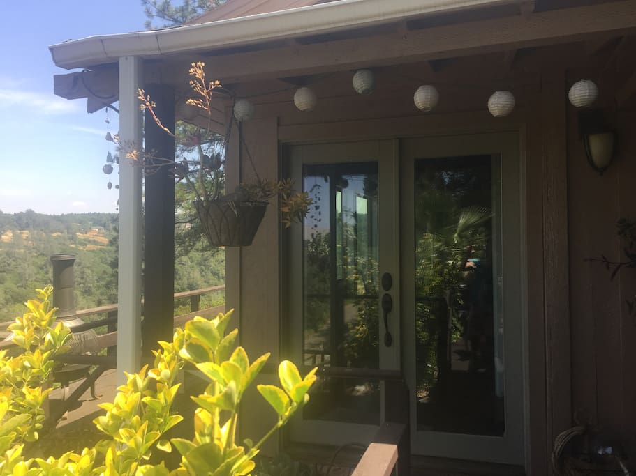 Welcome to the Bungalow