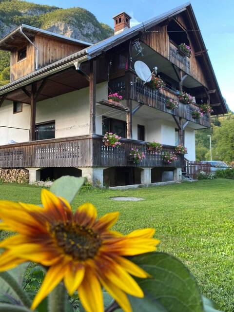 APARTMENT V&N, LAKE BOHINJ