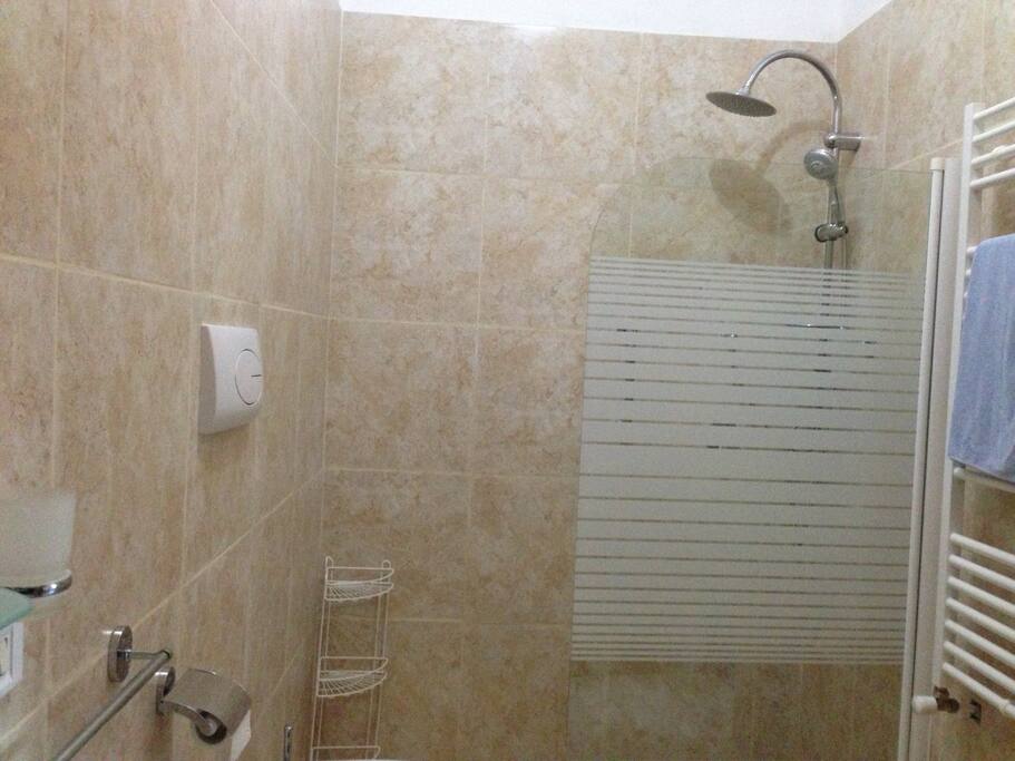Modern bathroom with "drencher" shower