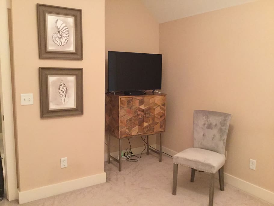 TV in guest room with all the premium channels.