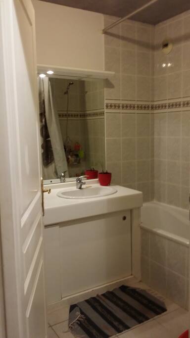 Bathroom right in front of the bedroom.