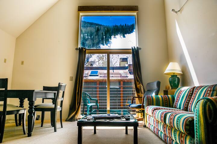 Wow View & Location Too. TRUE SKI IN/OUT/Dogs ok