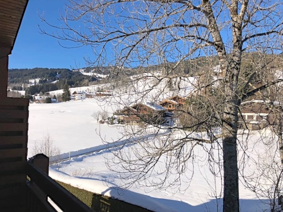 Vue depuis le balcon