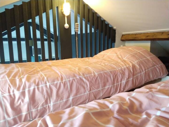 סרטון בסלון עם שני מעיינות חשמליים 