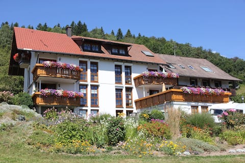 Hanselihof #1, top apartment with alpine view, Zell i. W