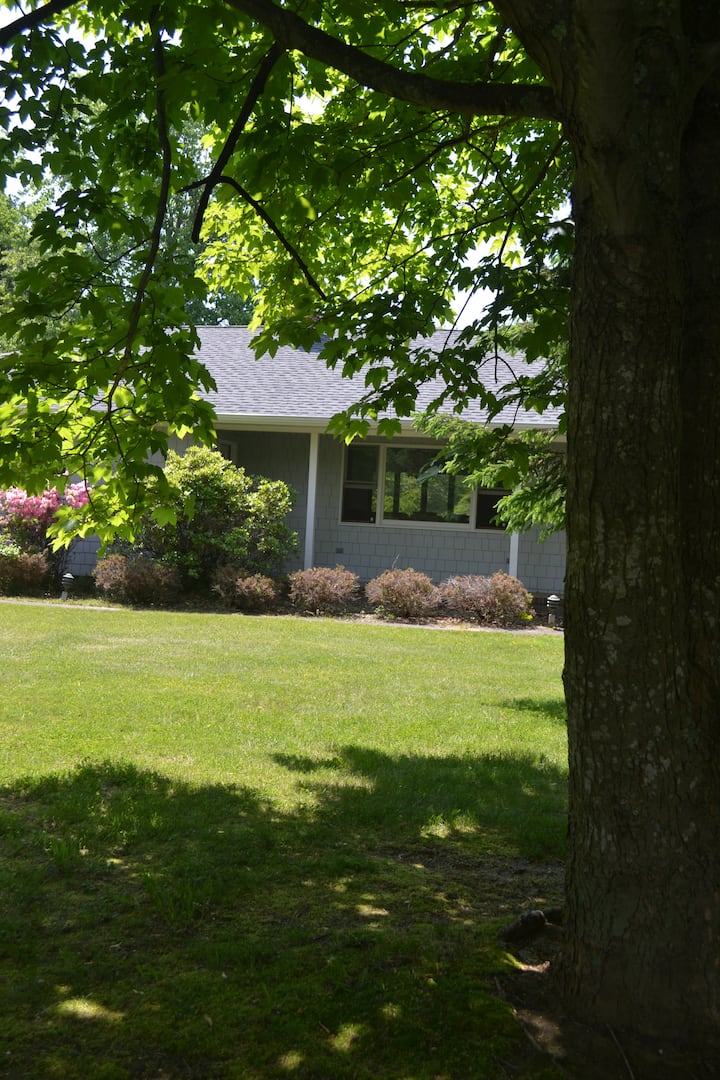 Shelter Island Privacy - Sag Harbor, NY