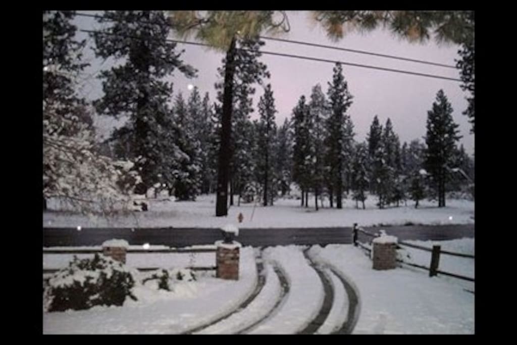 Winter time front view