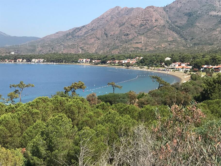 Beautiful AKTUR