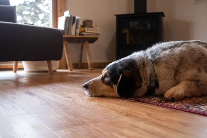 Cozy, Clean, Comfortable Cabin. Dog Friendly! - Lutsen, MN