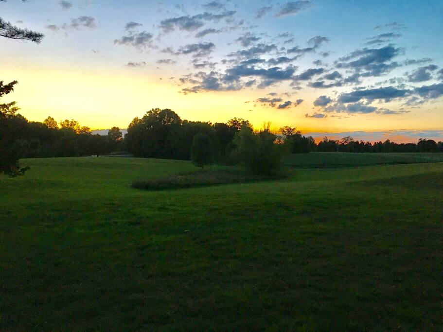 Our front yard will be a great place to watch the eclipse