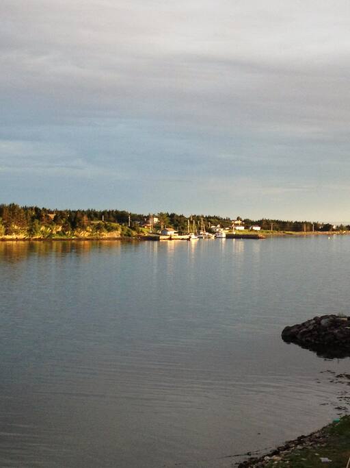 Harbour View