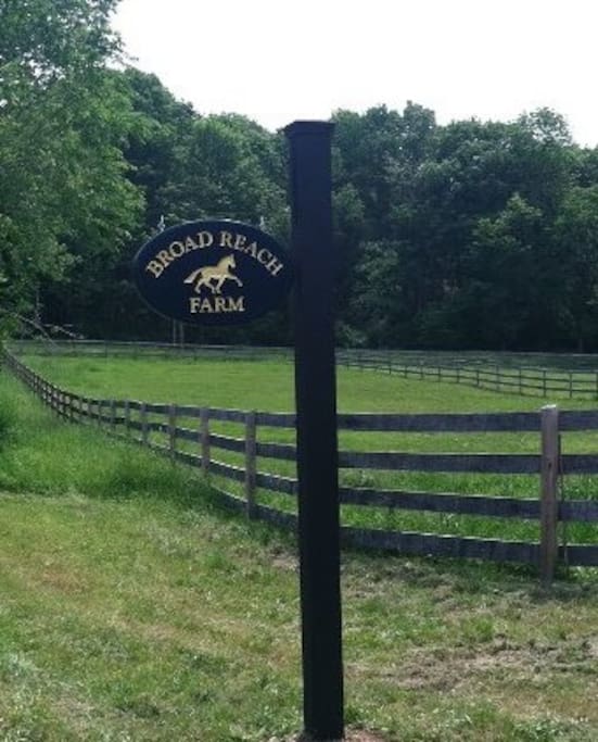 Broad Reach Farm - an equine retirement home