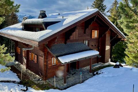 Beautiful mountain chalet just off the ski slopes