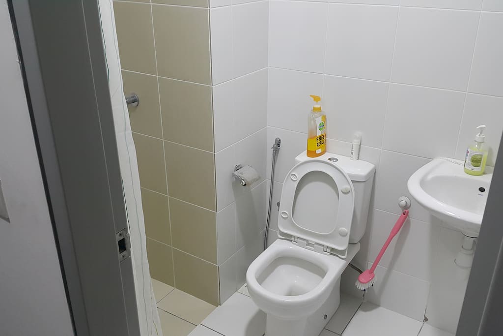 clean toilet