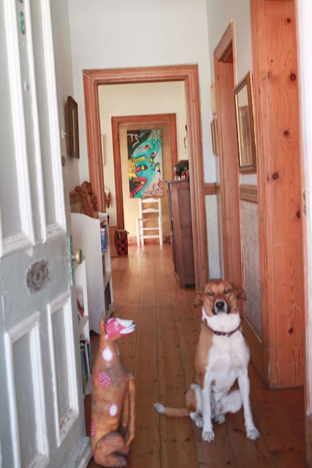 The front entrance with Amak the welcoming dog