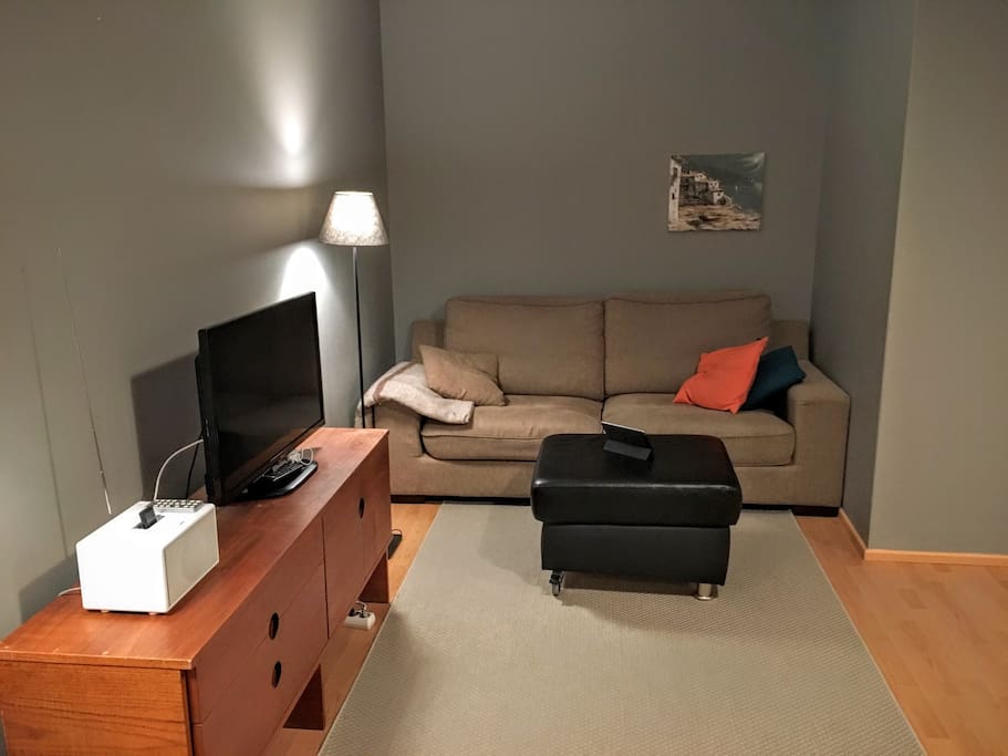 Sofabed is foldable, the bed inside is 120cm wide.