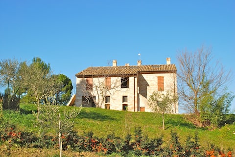 Lavender - Giovanna's Farmhouse