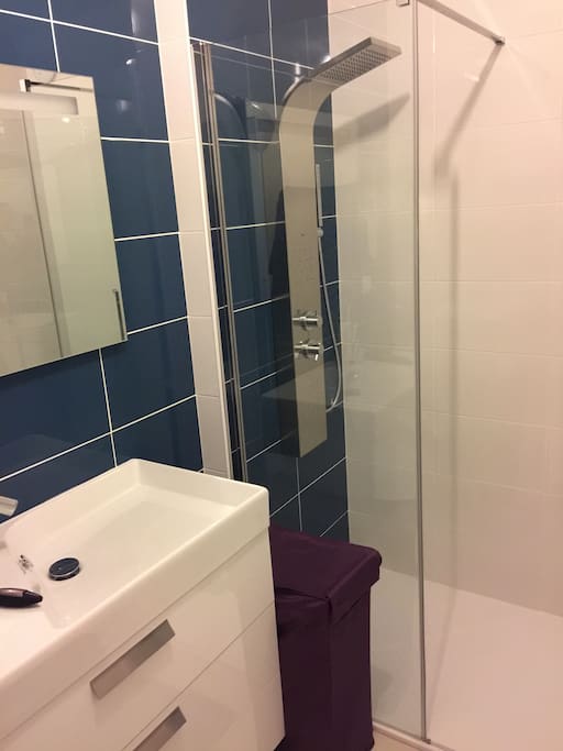 Salle d'eau avec douche à jets