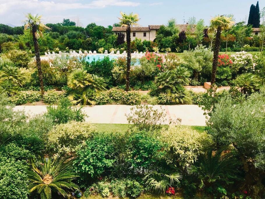 The private garden and a swimming pool right in front of the apartment