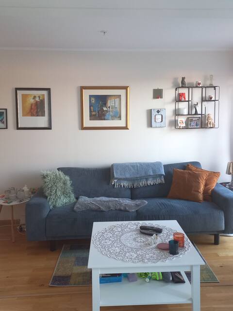 Apartment/appartment 15 min from Oslo airport