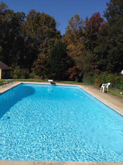 In Ground Pool