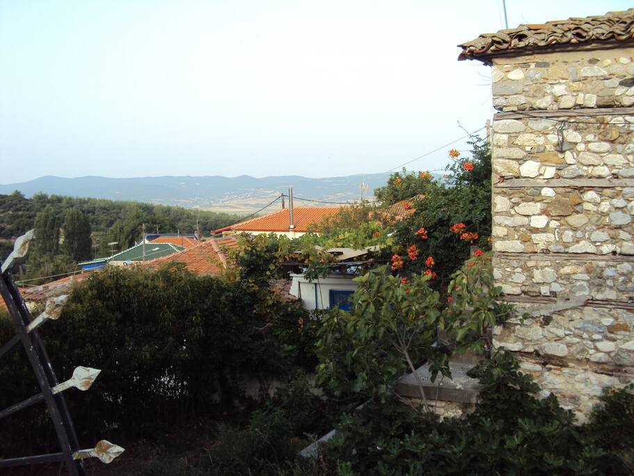 Θέα