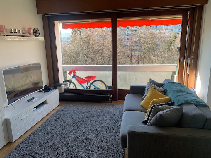 GrandSaconnex Vacation Rentals & Homes Geneva, Switzerland Airbnb