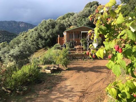 Cottage, stunning sea and mountain views, 20 min to beaches