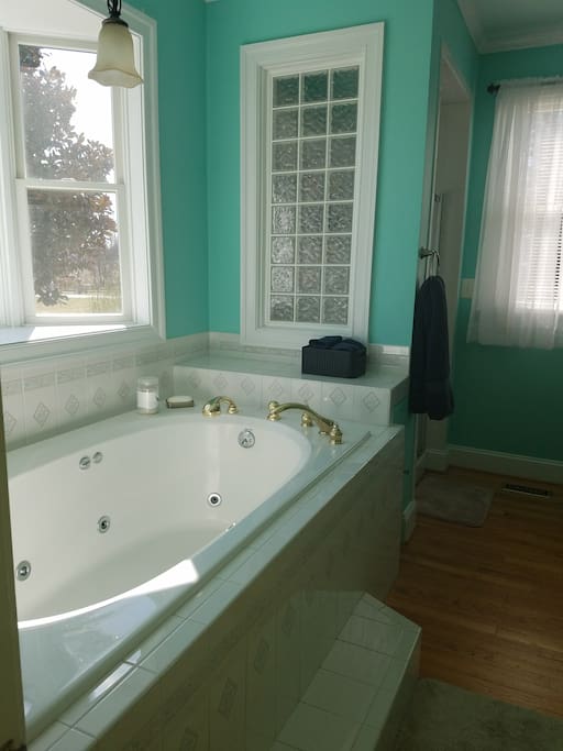 Master bathroom, tub with jets