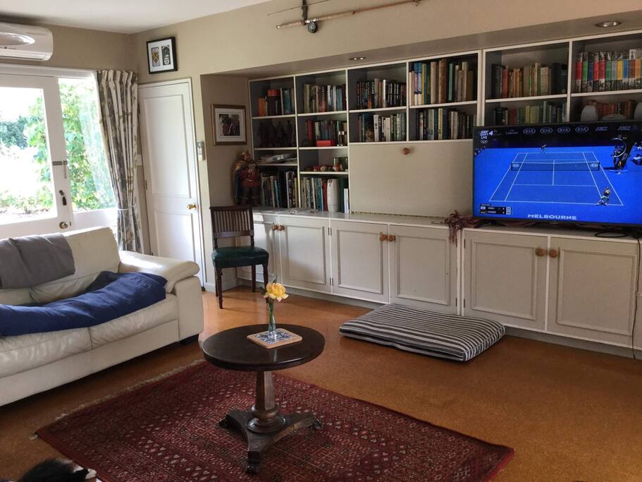 Library and TV room