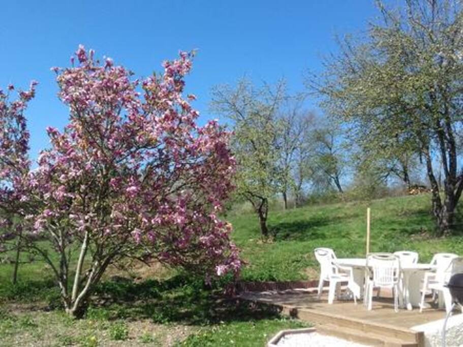 La terrasse