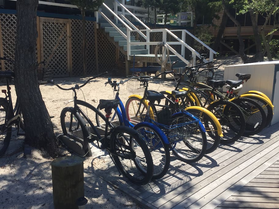 A fleet of 8 bikes (including an adult tricycle