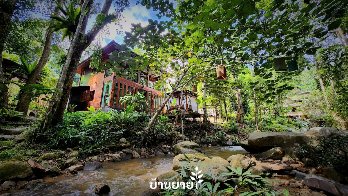 A bamboo dwelling surrounded by lush greenery, adjacent to a gently flowing river. The structure features wooden elements and large windows, allowing for natural light. Various plants and trees are visible, enhancing the serene environment. A rocky bank leads to the water's edge.