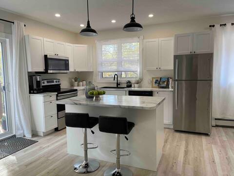 Cute, cozy and modern 2-bedroom Downtown Home
