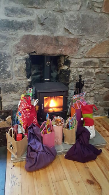 Wood-burning stove, perfect for a cold winter evening