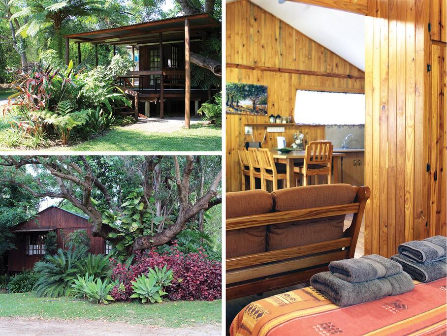 Cabin 5 overview