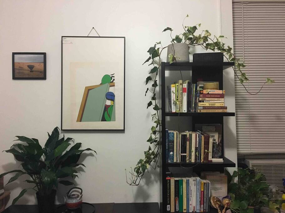 Feel free to read the books in the living room!