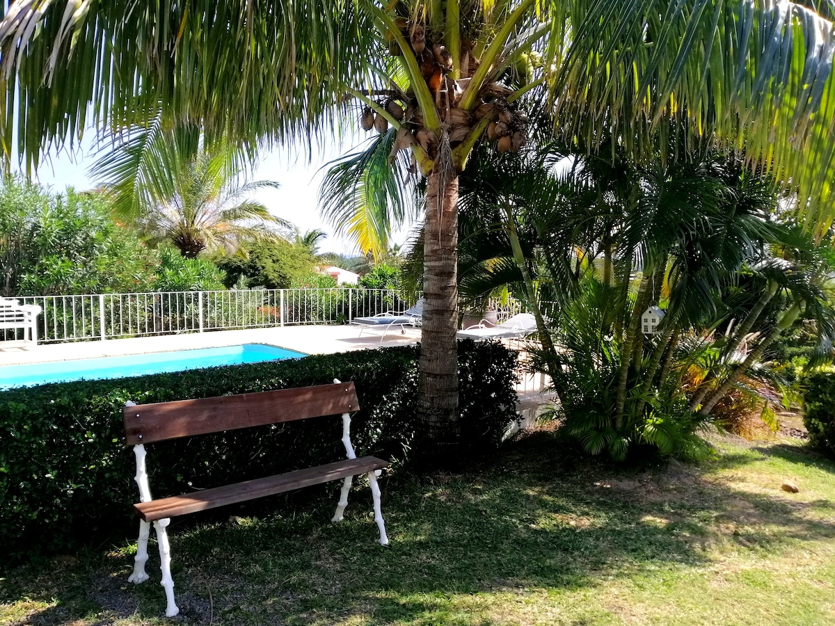 A wooden bench is positioned under a palm tree, surrounded by lush greenery. In the background, a serene pool is visible, framed by sun loungers and tropical plants, providing a relaxed outdoor environment.