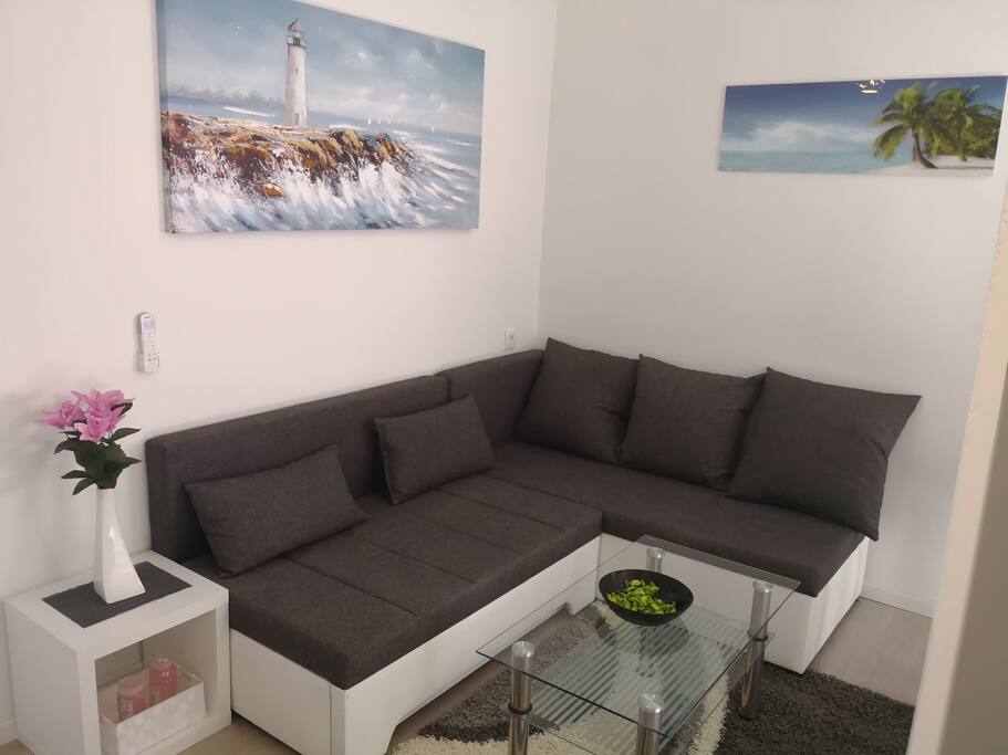 couch, which may strech and serve as a double bed for 2