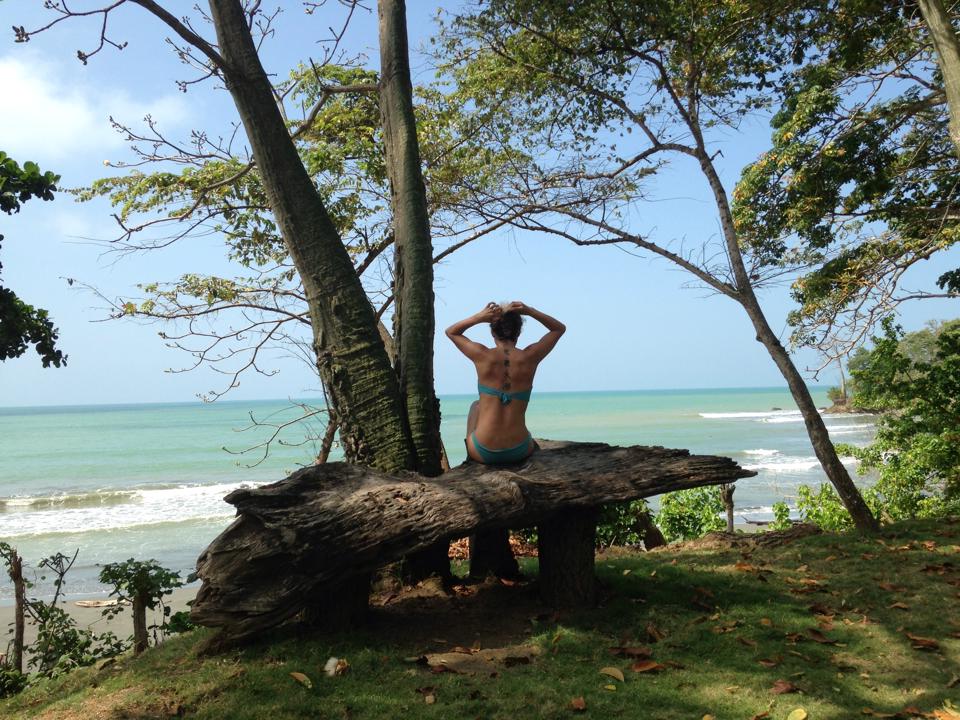 A natural seating area is formed by a large, fallen tree trunk overlooking the ocean. The view includes gentle waves and a clear blue sky, framed by lush trees and greenery, creating a serene atmosphere conducive to relaxation and contemplation.